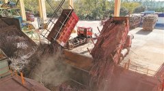 <strong>广西壮族自治区人平易近门户网坐</strong>